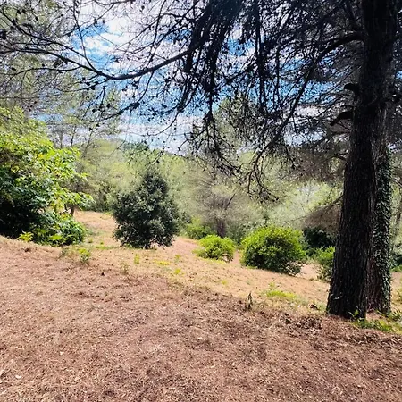 아파트 Le - Rez De Jardin - Terrasse - Piscine 무젱